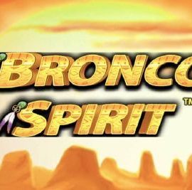 Bronco Spirit