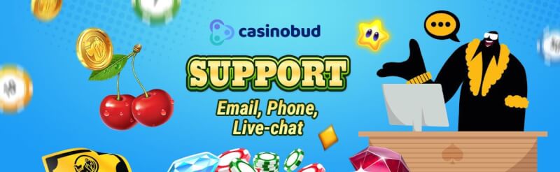 casinobud assistance choices review-logo